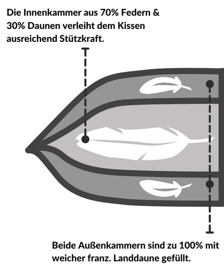 Infografik_Daunenkissen_2.jpg