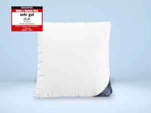 Daunenkissen Produktbild 1 - 80x80x